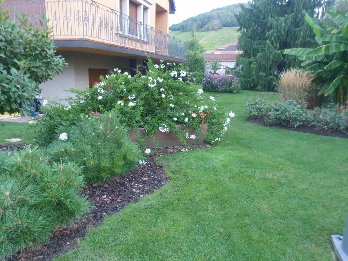 La Rocatelle Andlau-au-Val